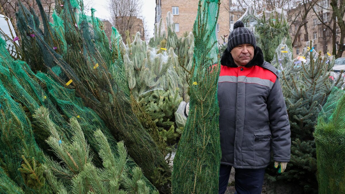 Фото: Belkin Alexey/globallookpress.com