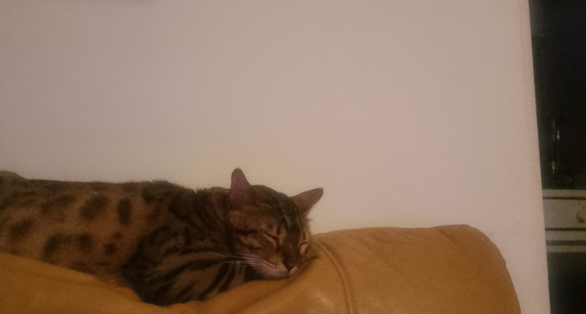    Фото Анастасии Дмитриевой