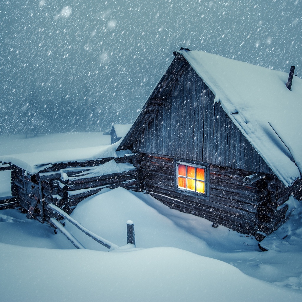 Яндекс картинки