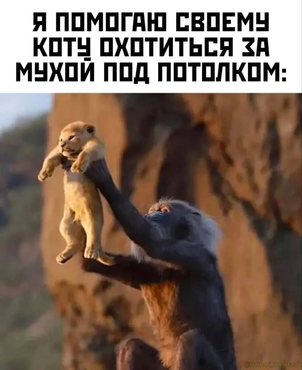 Источник: соцсети