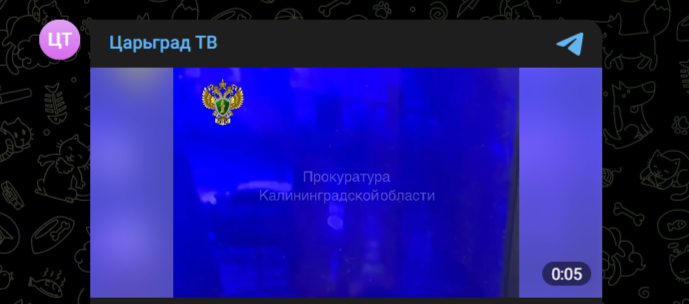 Фото: Telegram-канал "Царьград ТВ"