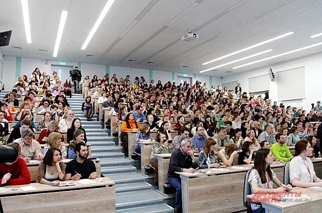    Что за закон о бесплатном образовании для участников СВО?