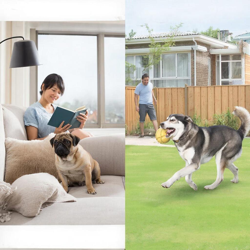 Скоро будет статья про дрессировку собак