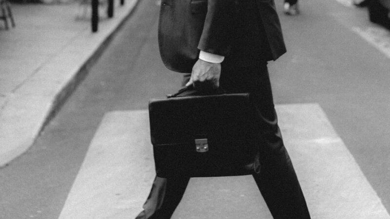     Депутат. Портфель. CC0