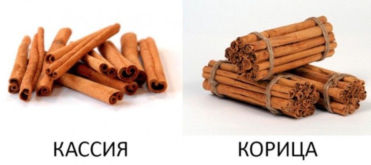    Разница между кассией и корицей. Источник изображения: pinterest.com