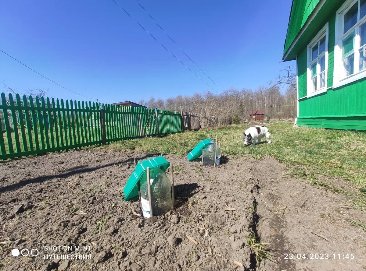 Участок готов к новым посадкам