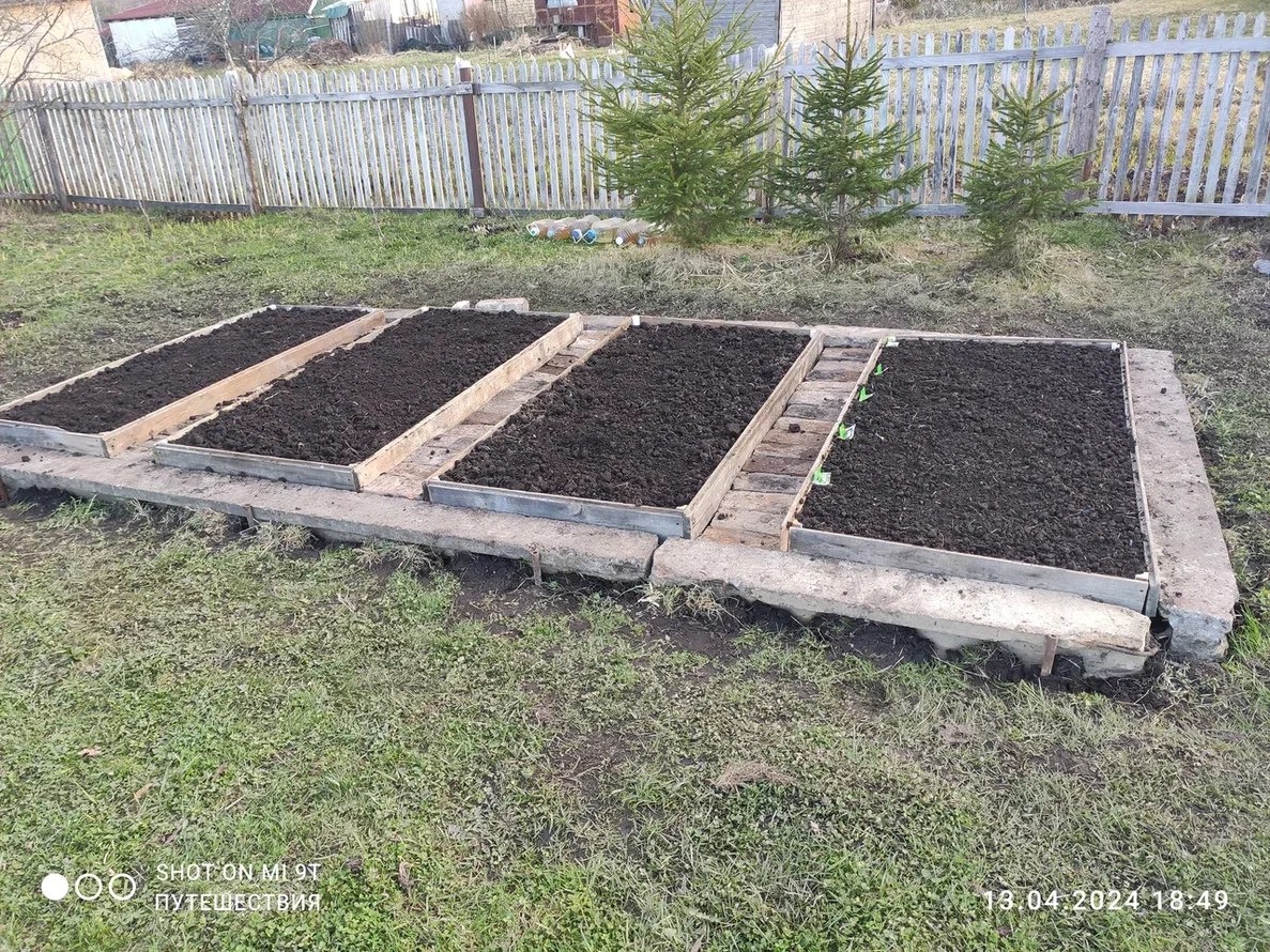 Новые грядки открытого грунта