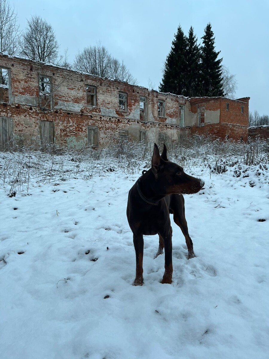 это мы так гуляем после дороги