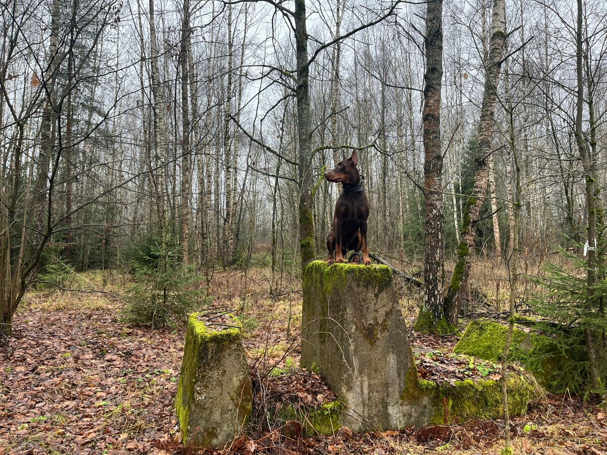 фото с какой то тренировки