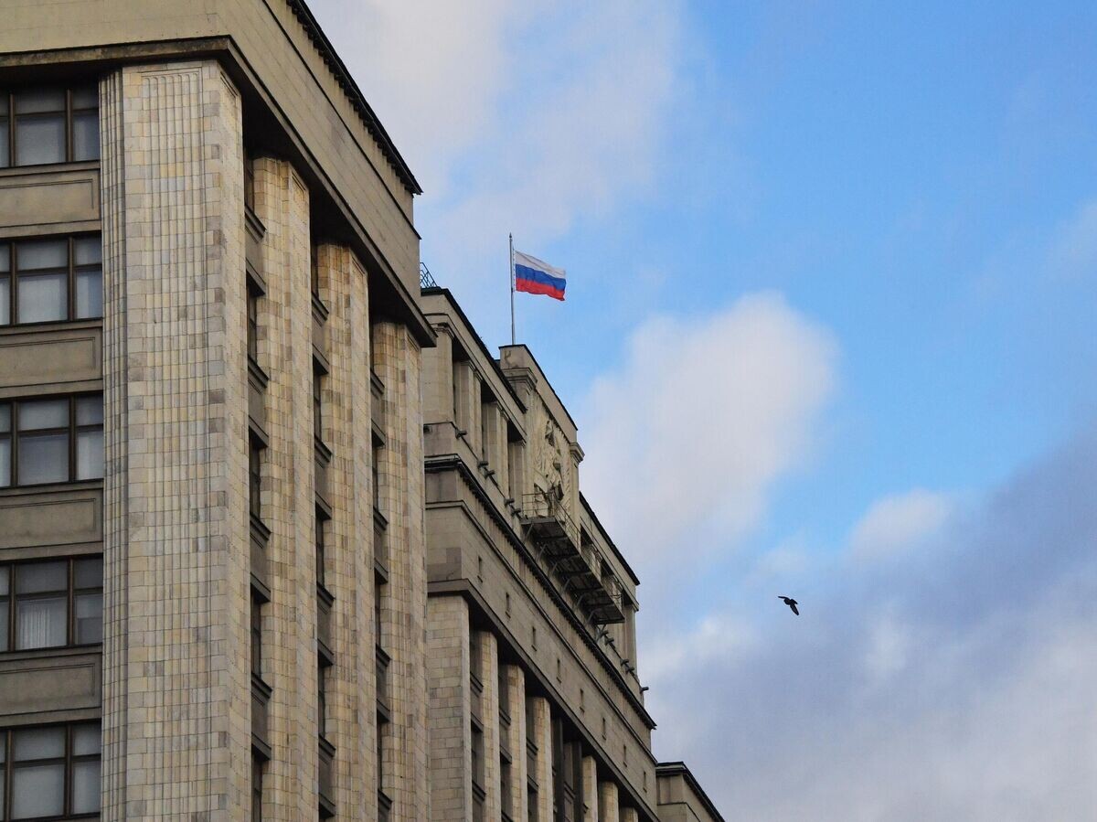    Здание Государственной Думы РФ в Москве© РИА Новости . Наталья Селиверстова