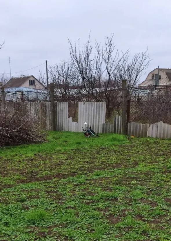    Фото: Telegram-канал Владимира Оганесова