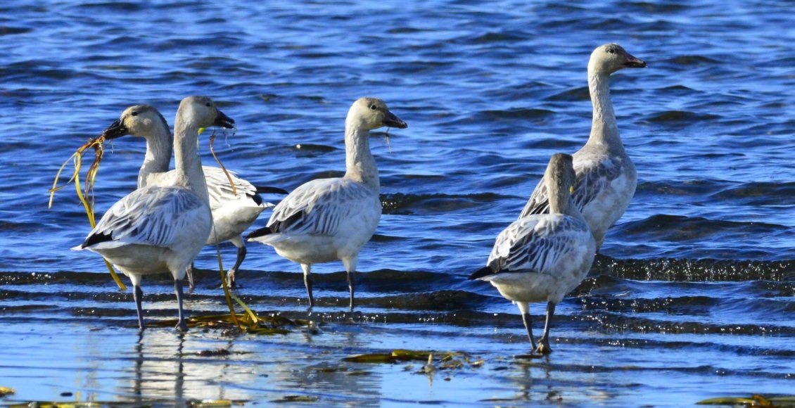    Фото: Александр Яковлев