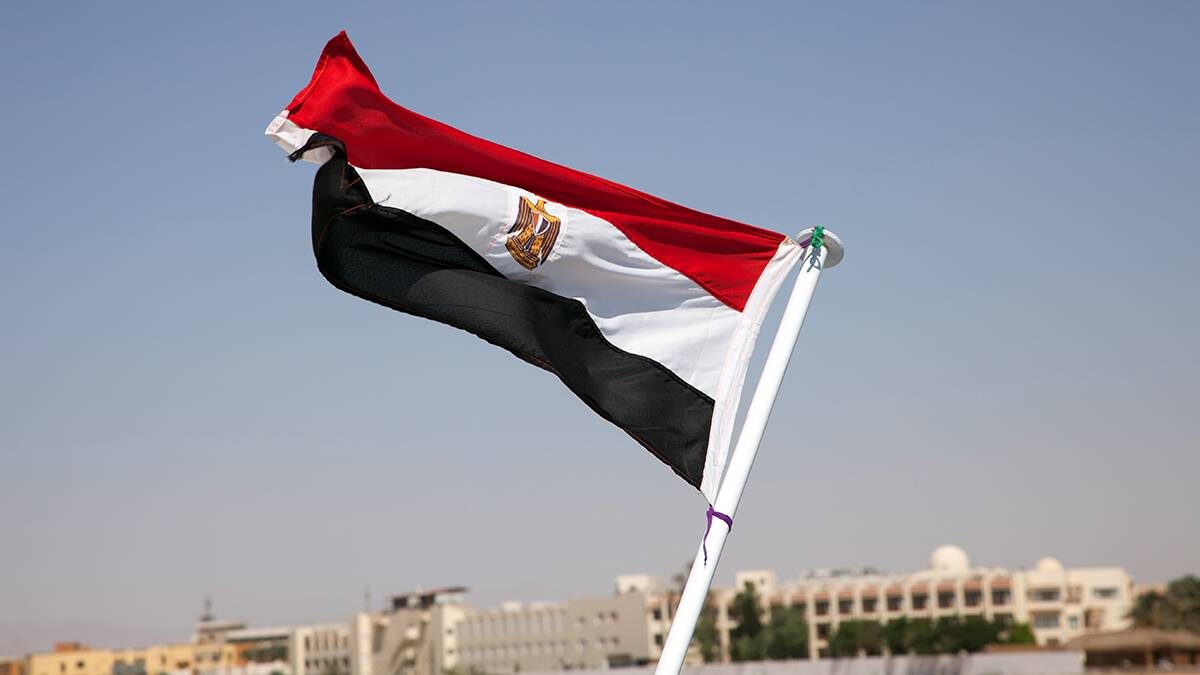    Фото: Shutterstock