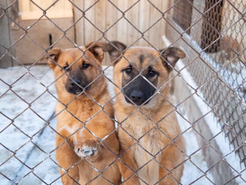    Фото пресс-службы СГК