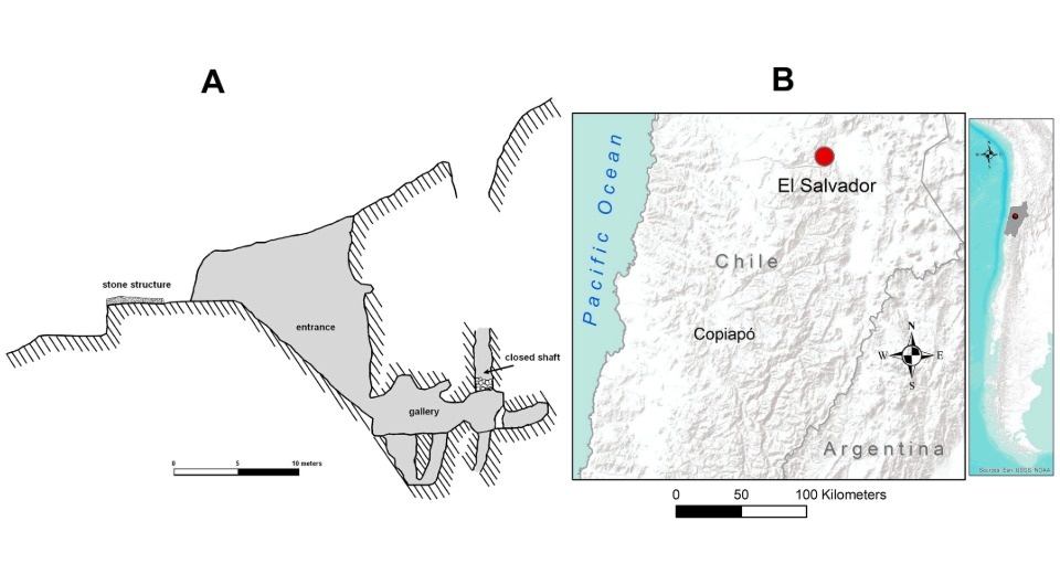   Catalina Morales and Francisco Garrido / International Journal of Osteoarchaeology, 2025