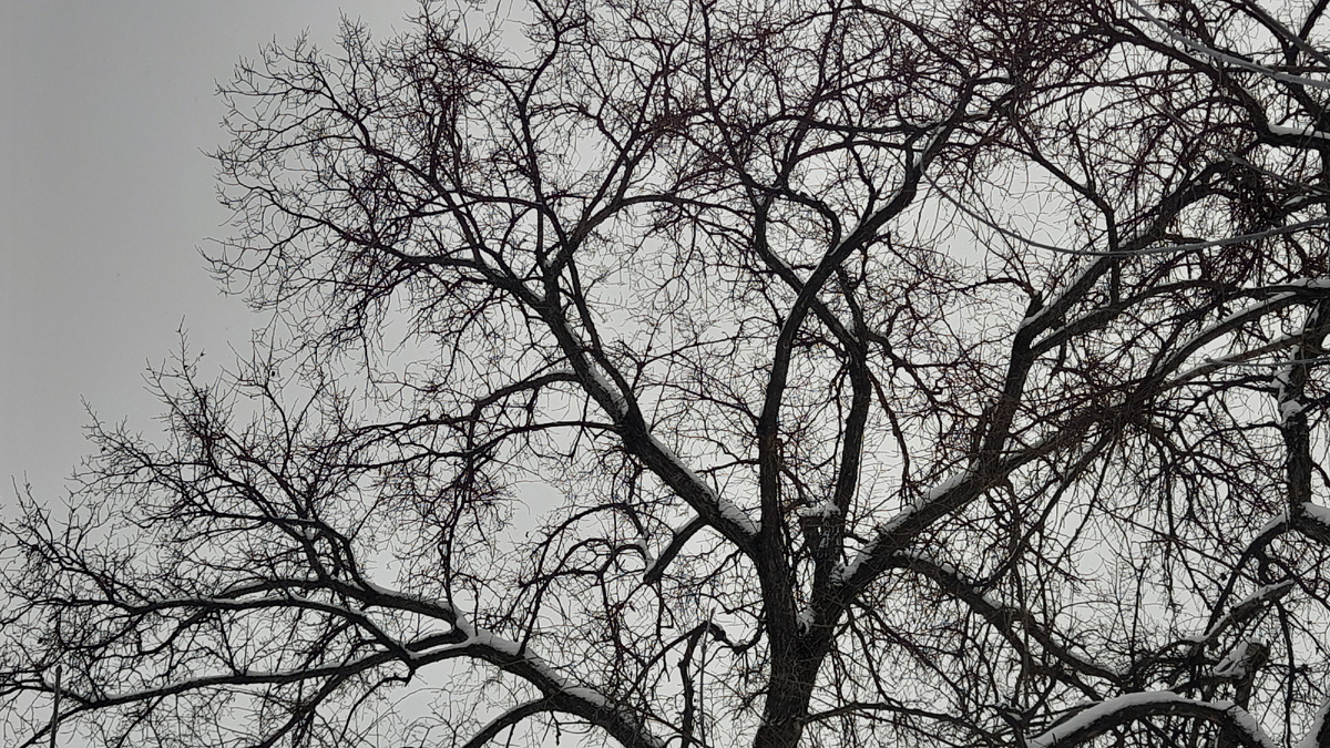 Листайте галерею