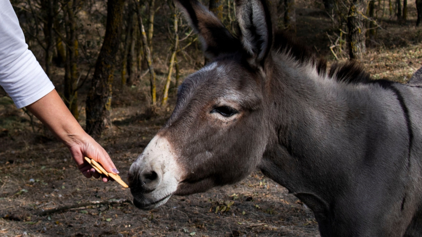    Фото: © РИА Новости/Дмитрий Макеев