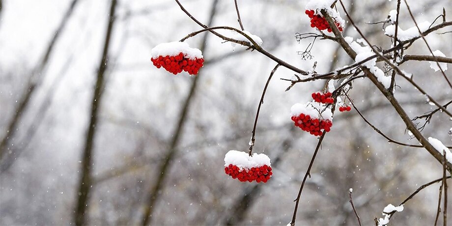    Фото: портал мэра и правительства Москвы/Владимир Охрименко
