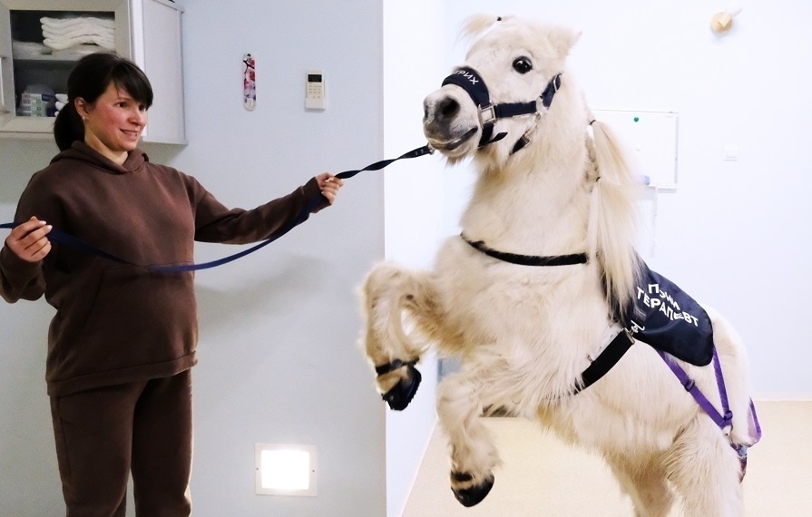 Пресс-служба фонда "Вера"