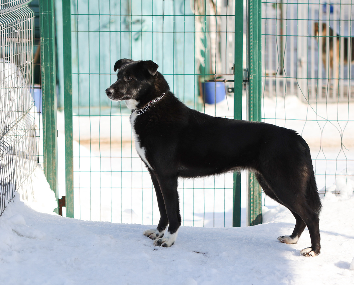 Ну и что, главное, что кому-то сегодня больше не спать на жестком полу