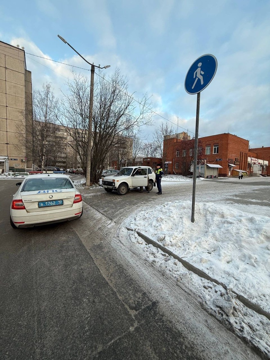    фото: © Госавтоинспекция Петрозаводска