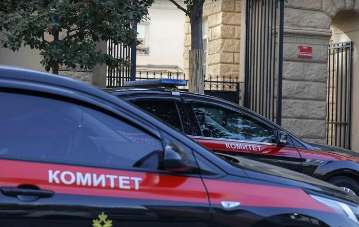 СК задержал сотрудницу охраны после нападения подростка с ножом в петербургской школе