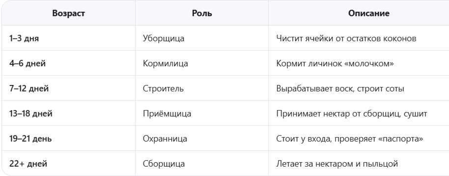 чёткий жизненный путь