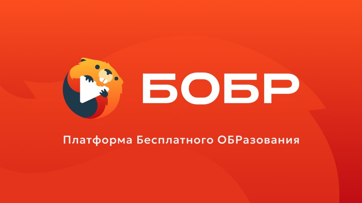 Бобр - проект "Школково" с бесплатным образовательным контентом. 