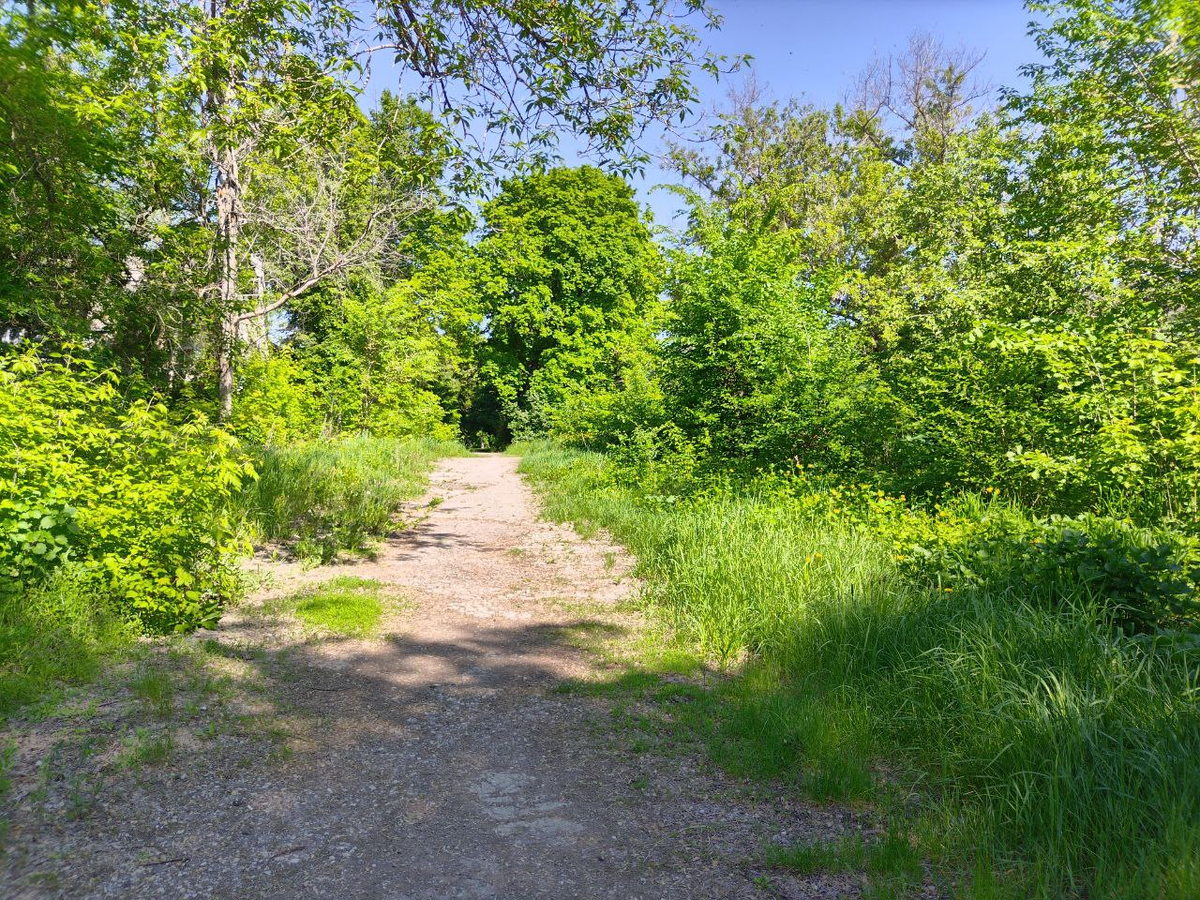 Фото автора.