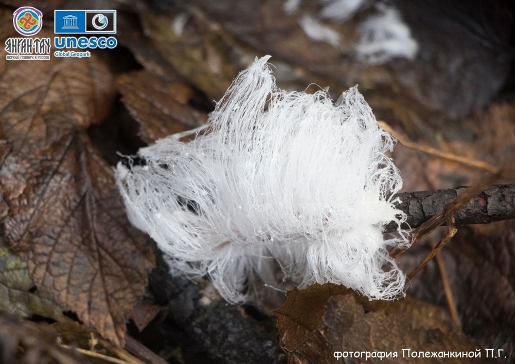     Фото: Геопарк «Янга», Полежанкина П.Г
