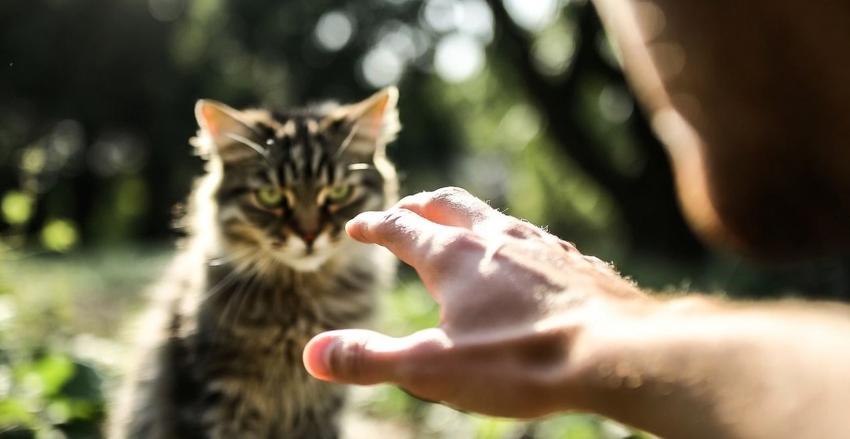 Наказание – прямой путь к потере доверия.