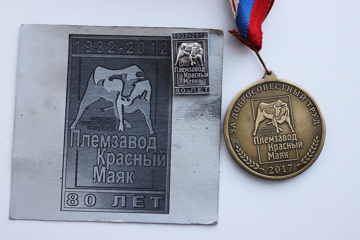 Серебряный знак «80 лет ОАО «Племзавод Красный Маяк», которым была награждена Анна ЖУЛЬЯНОВА. Фото Александра ВАСИЛЬЕВА.