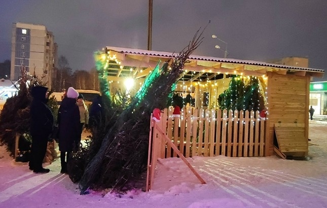 Фото: сайт https://tobolsk-city.ru