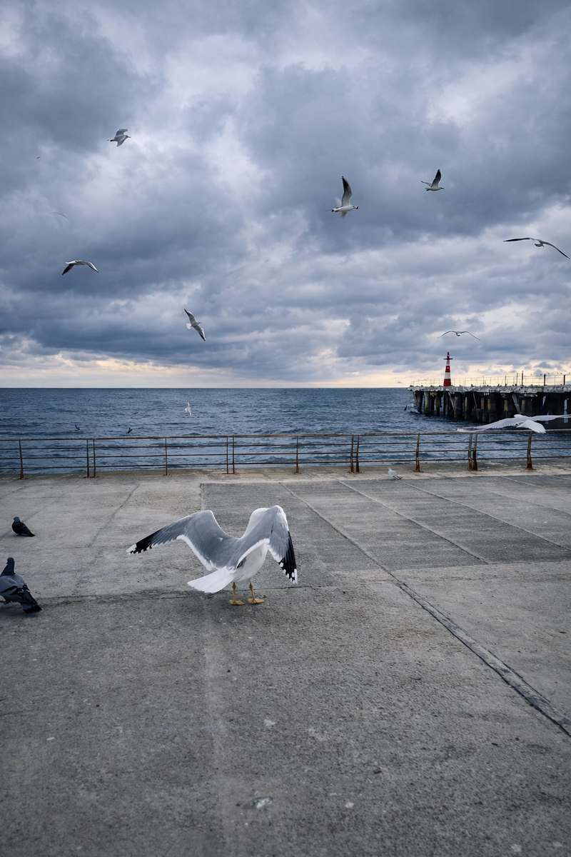 Каждый день про Крым в моем канале https://t.me/pogoctum