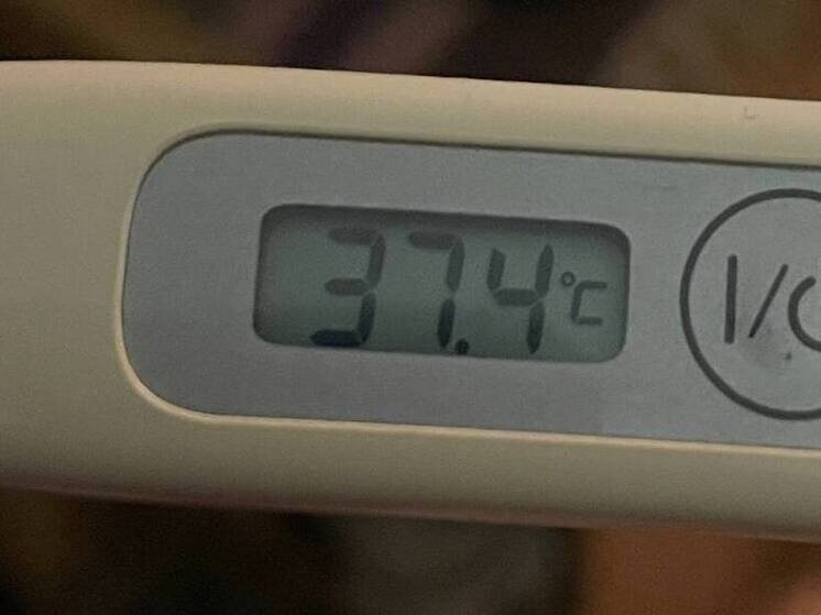     В настоящее время учебный процесс приостановлен в 410 школьных классах и 41 группе в детских садах. Фото: архив МК в Питере.