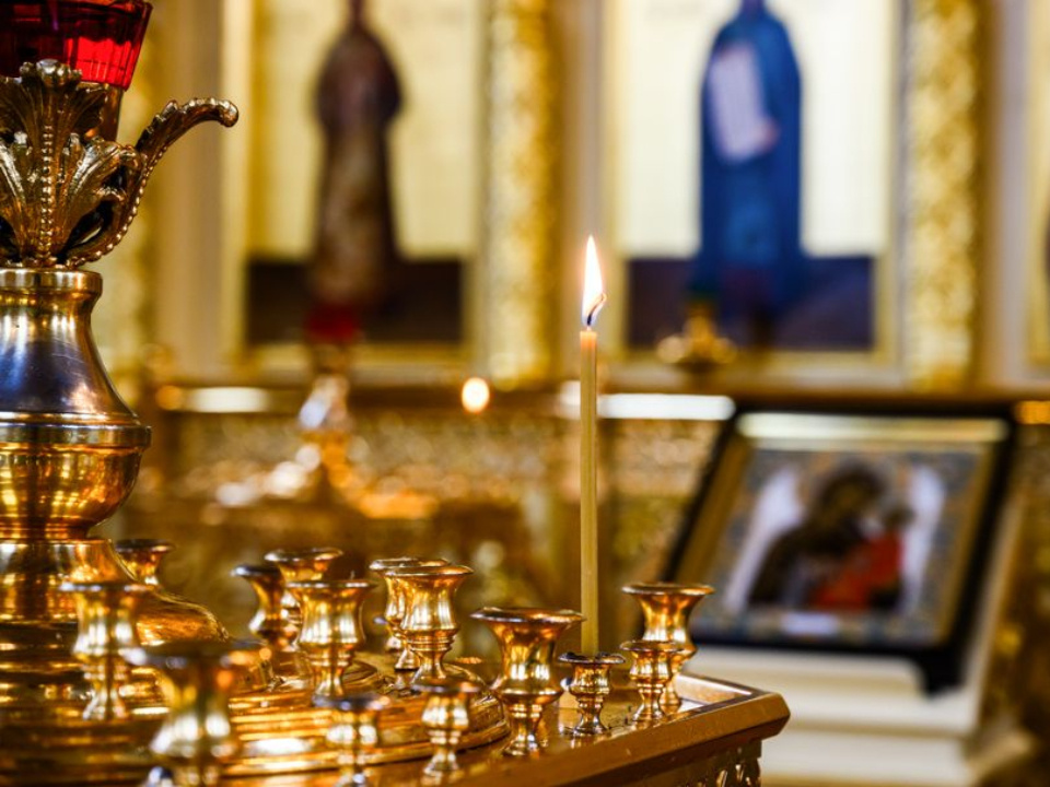    Фото: медиасток.рф