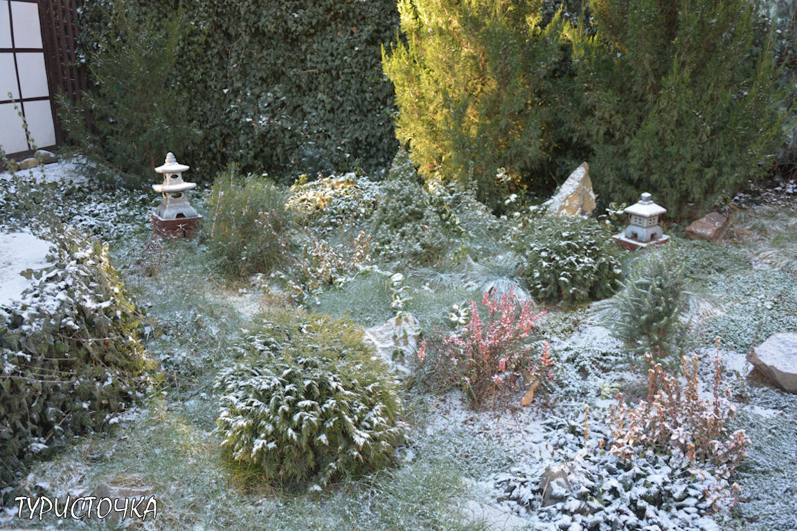 Мой Японский сад