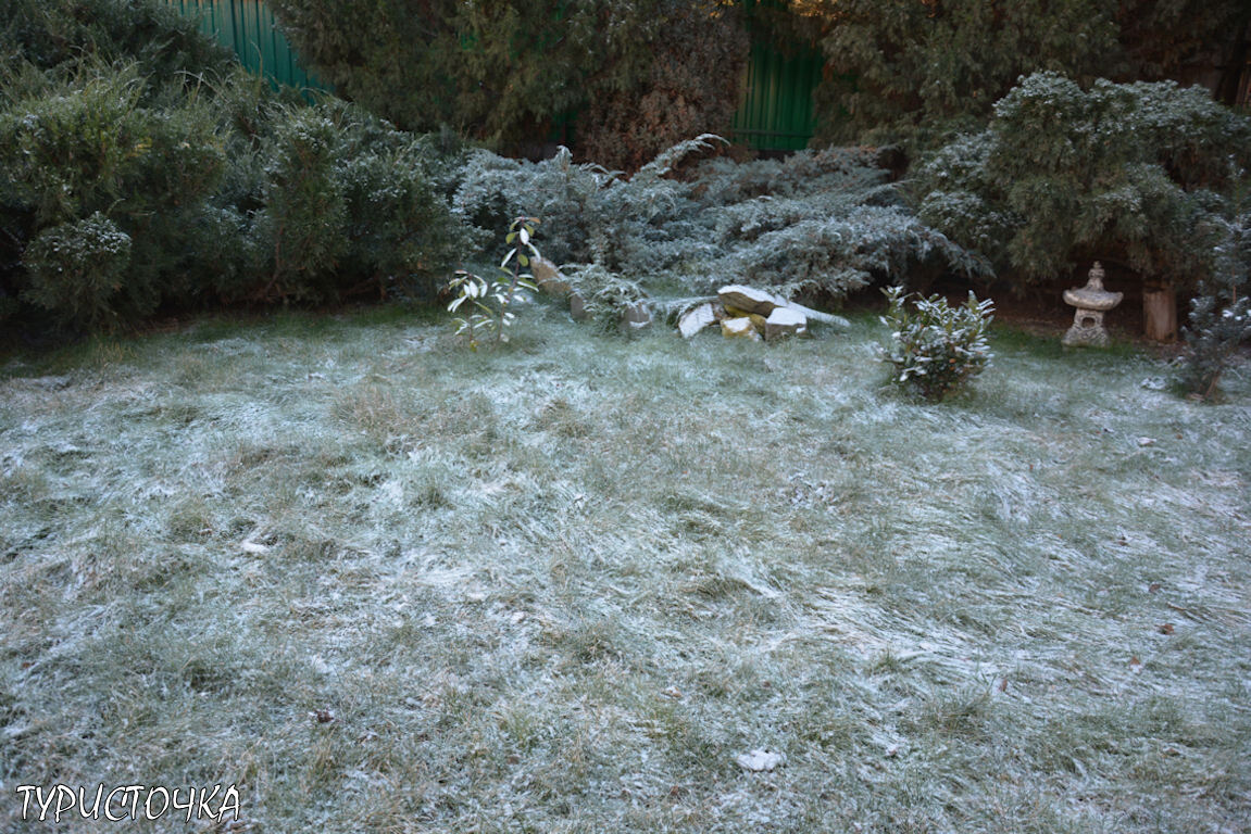 Газон перед домом