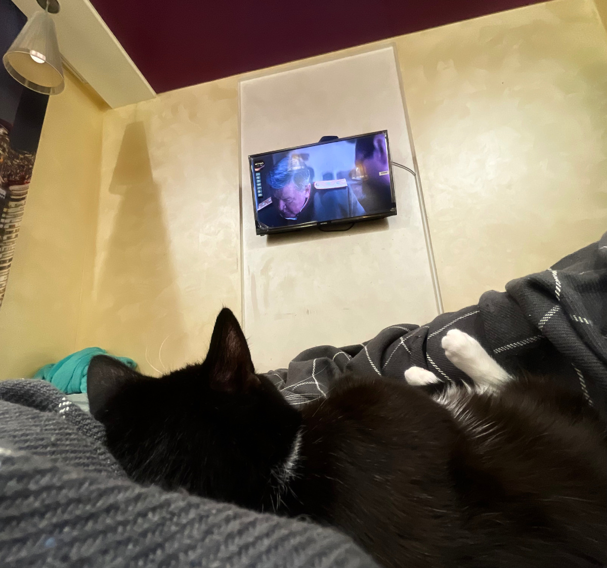 А это вчера, Инжир за вечерним просмотром фильма