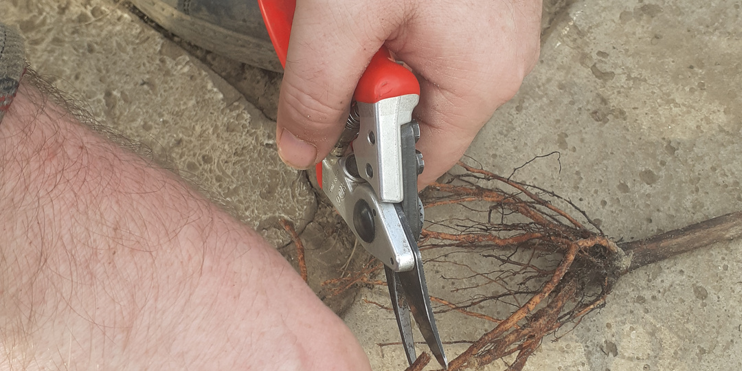 Все купить и сэкономить