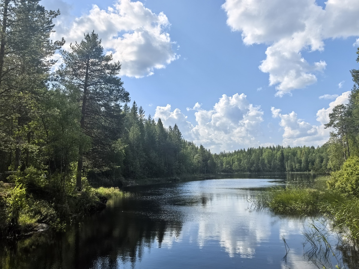    фото: © Столица на Онего