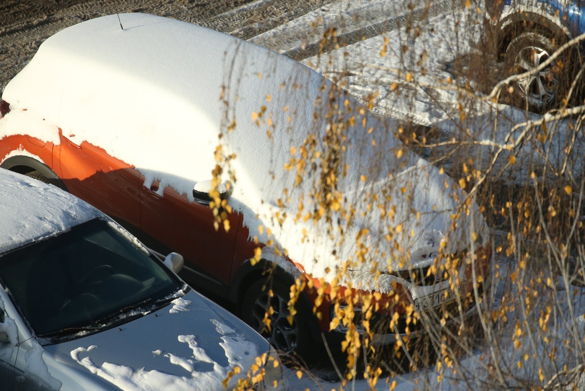    Сергей Куксин/ РГ