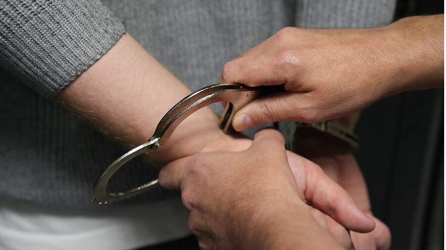    Фото: ИЗВЕСТИЯ/Дмитрий Коротаев