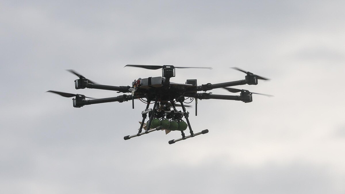    Фото: Shatokhina Natalia/globallookpress.com