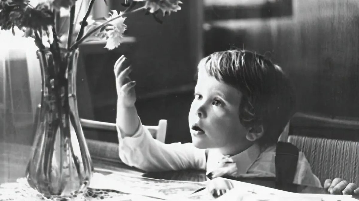 Источник: 1tv.ru