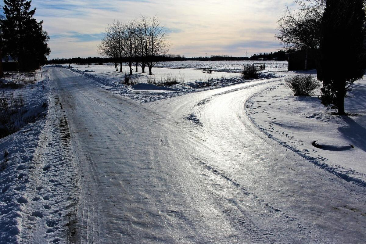 Фото взято из открытого источника