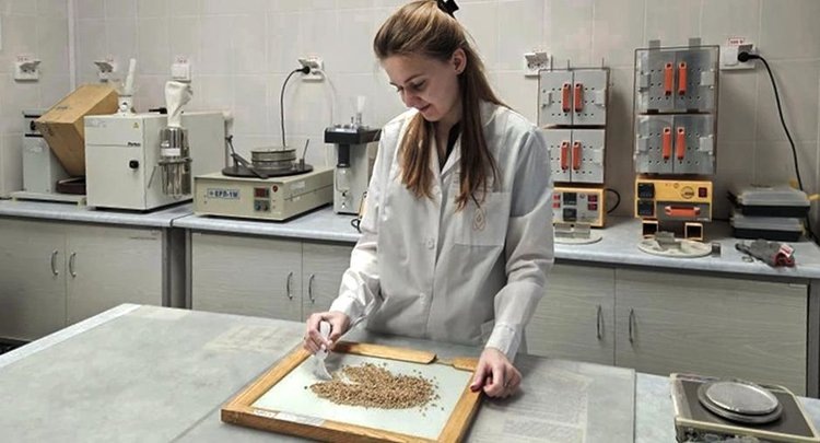    Фото: ФГБУ ЦОК АПК