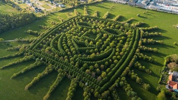 Фото из интеренета