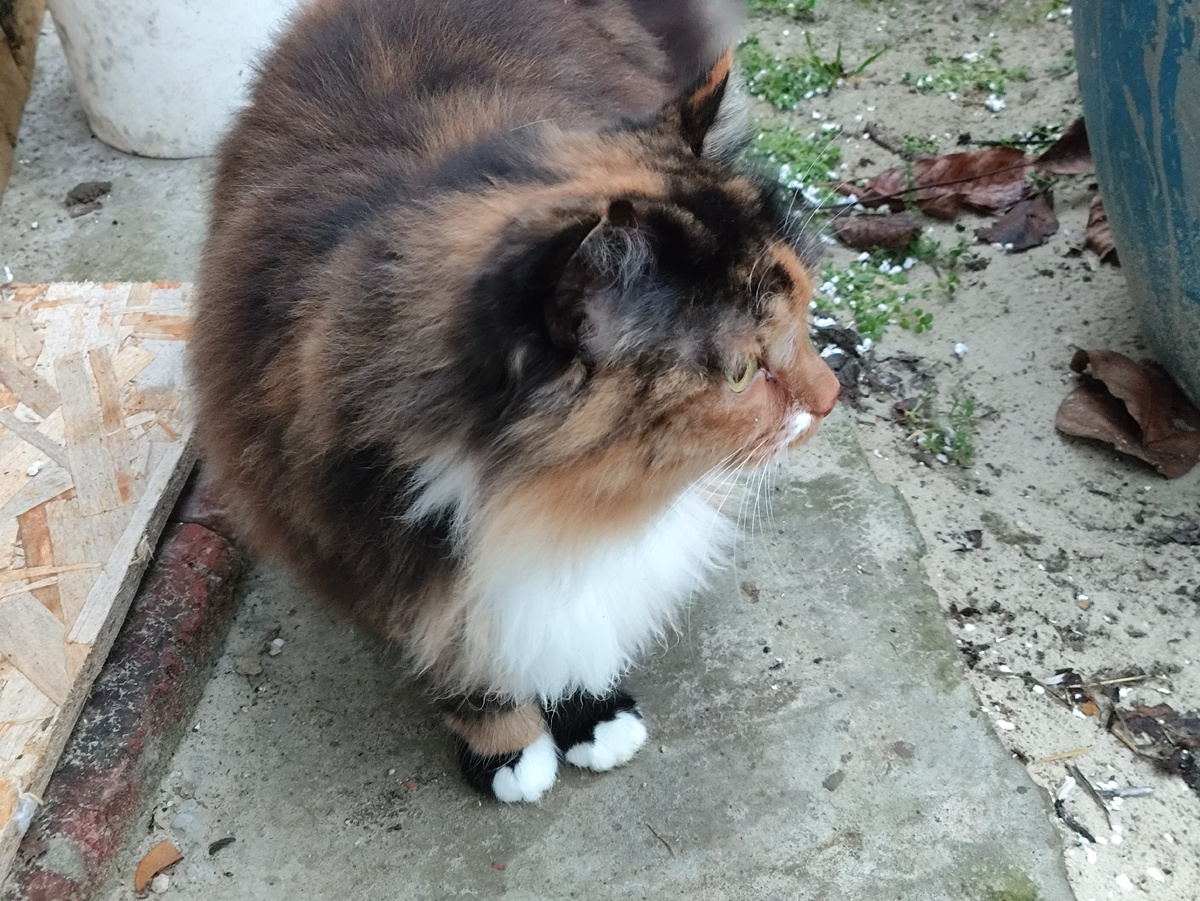 Слегка загадочная...