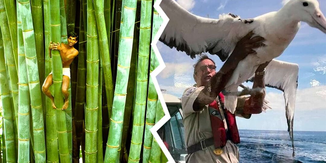 16 снимков гигантских объектов, напоминающих, что размеры иногда действительно имеют значение